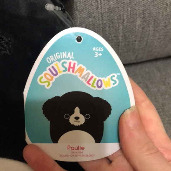 Squishmallow Paulie The Dog 8” - Picture 2 of 4